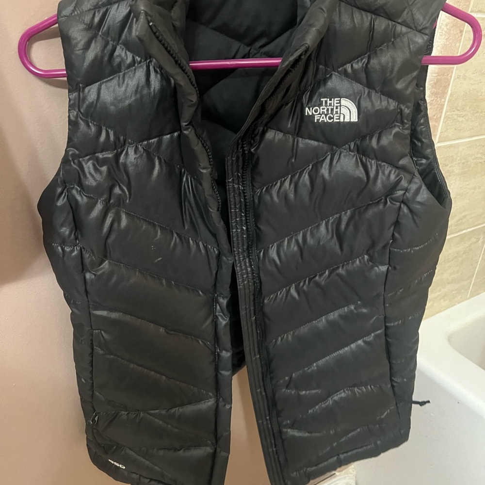 The North-face Vest
